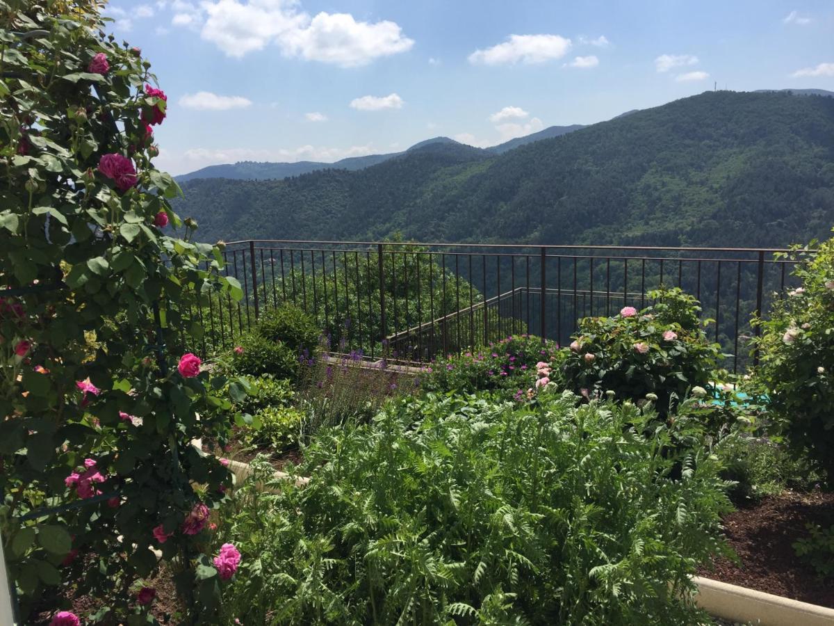 Bellevue Bed and Breakfast Saint-Paterne-Racan Buitenkant foto